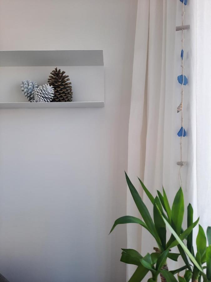 Sitius 5B - New Seaview Apartment With Rooftop Terrace In Historical Centre Sitio Da Nazaré Kültér fotó